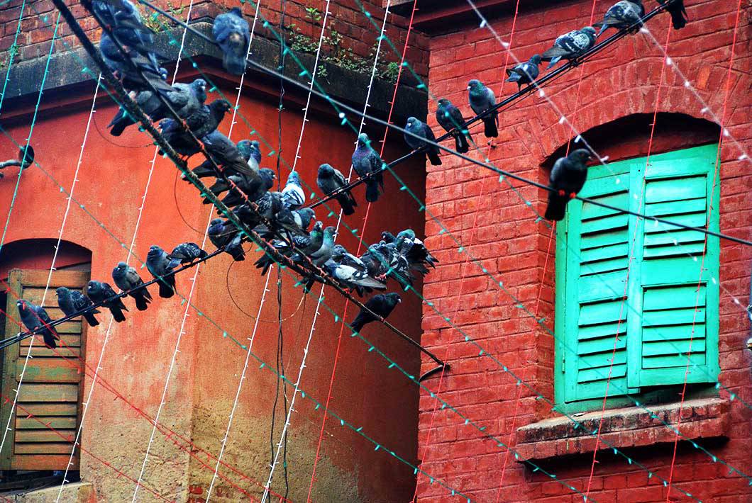 Where the Magic Lies – The Bow Barracks – Sthapatya